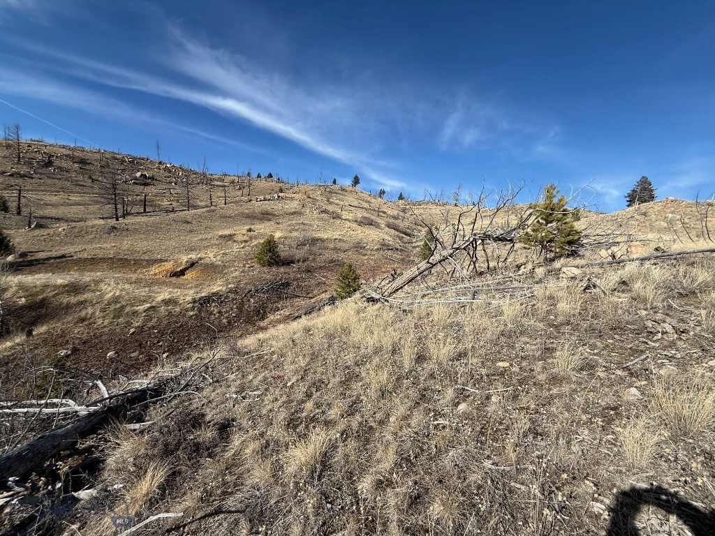 Aspen Valley Ranches - Land