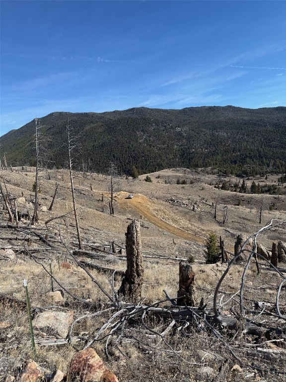 Aspen Valley Ranches - Land