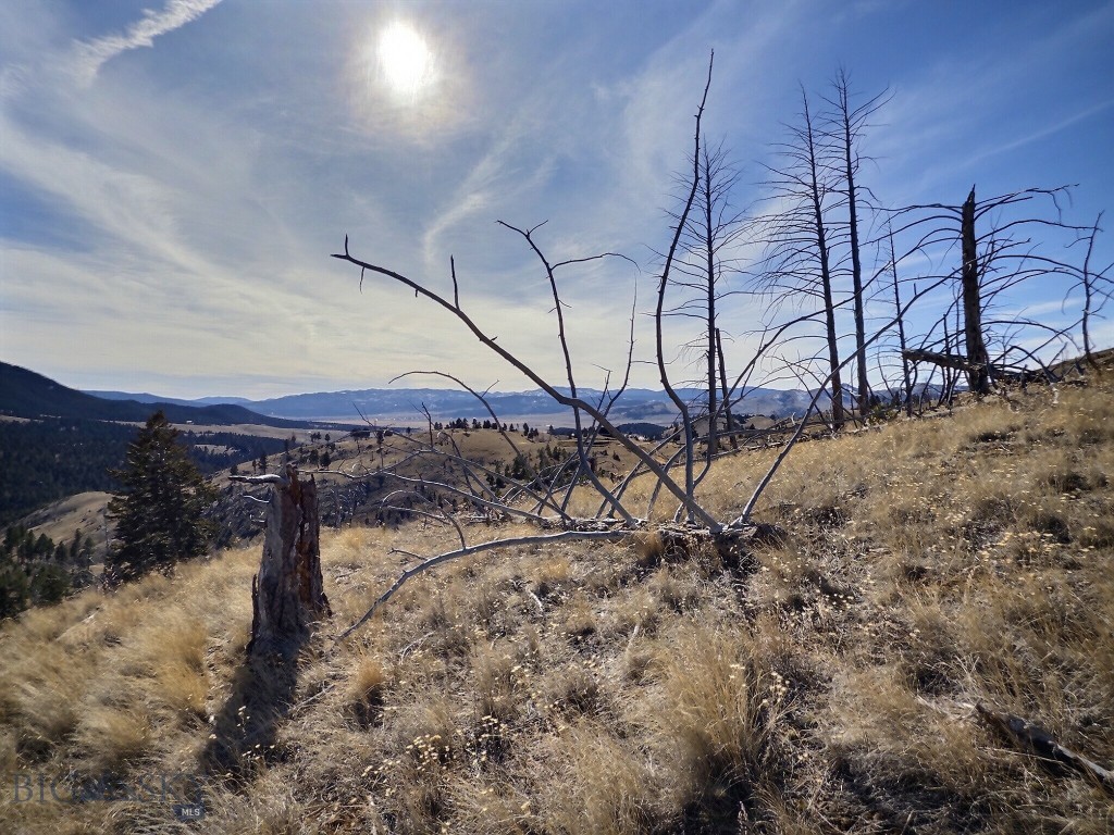 Aspen Valley Ranches - Land
