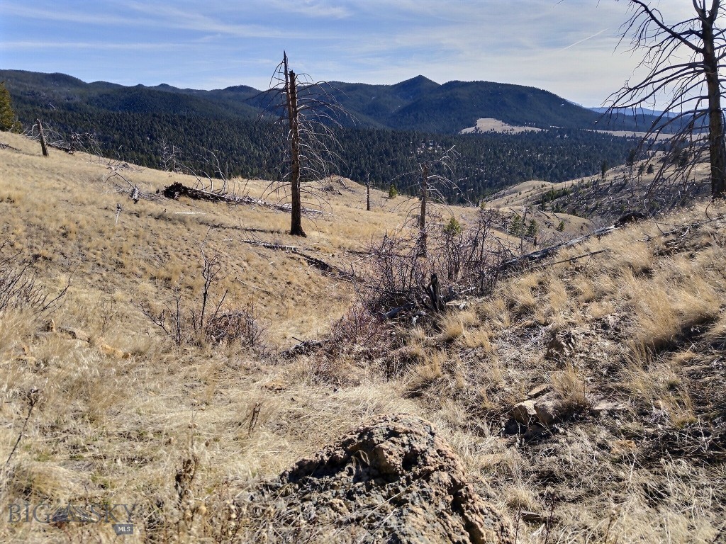 Aspen Valley Ranches - Land