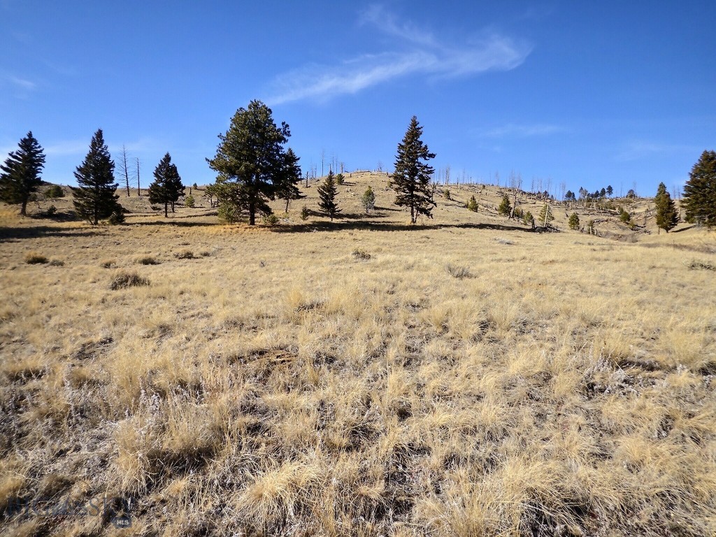 Aspen Valley Ranches - Land