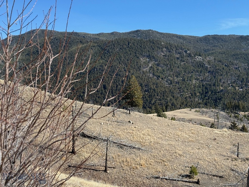 Aspen Valley Ranches - Land