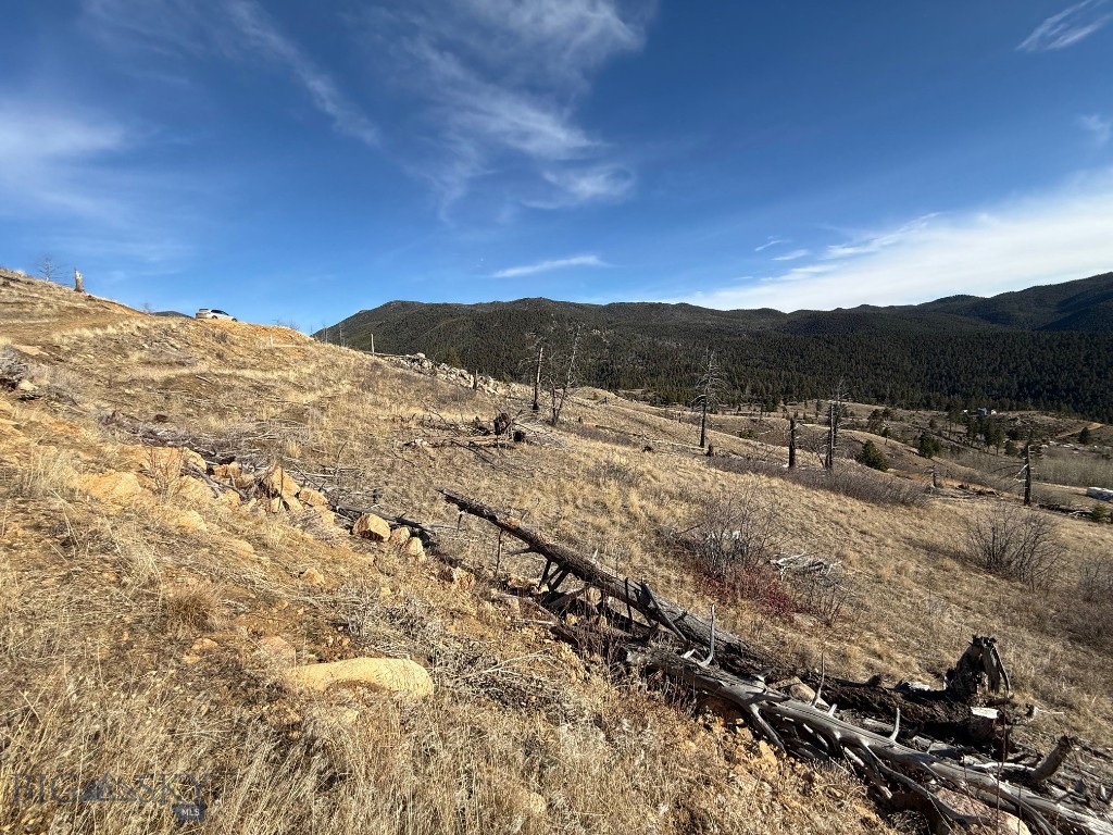 Aspen Valley Ranches - Land