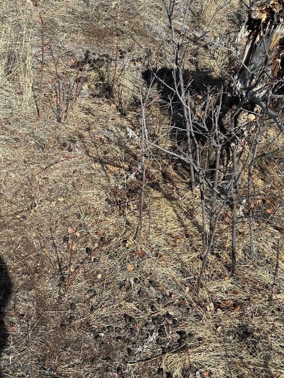 Aspen Valley Ranches - Land