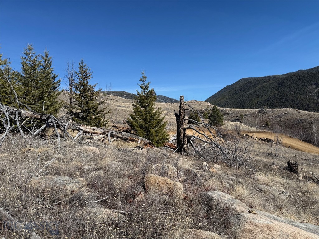 Aspen Valley Ranches - Land