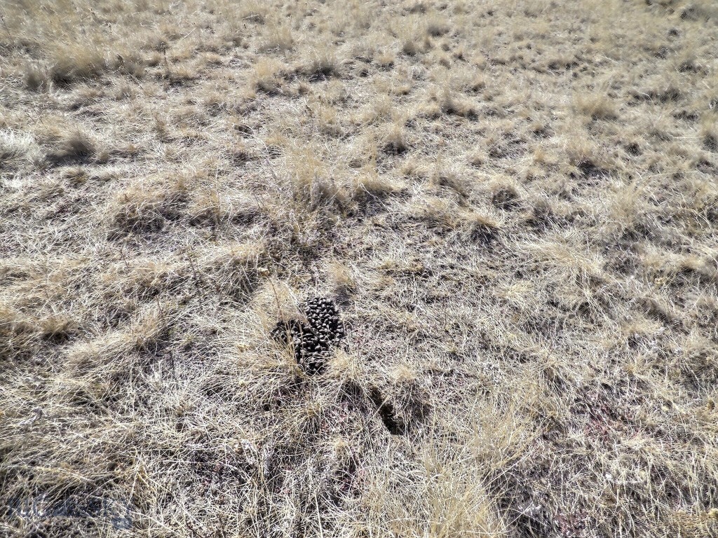 Aspen Valley Ranches - Land