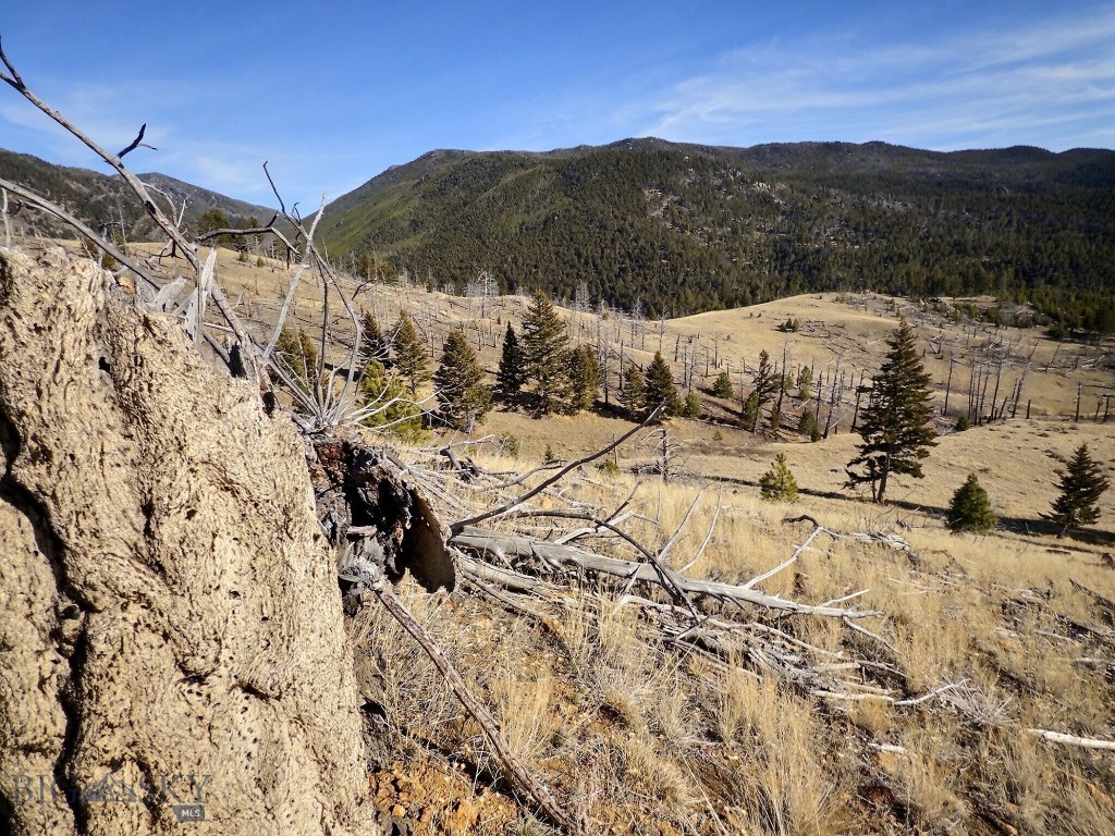 Aspen Valley Ranches - Land