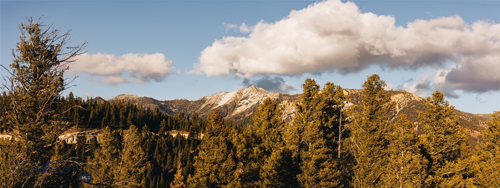 Spring Creek Reserve Neighborhood - Land