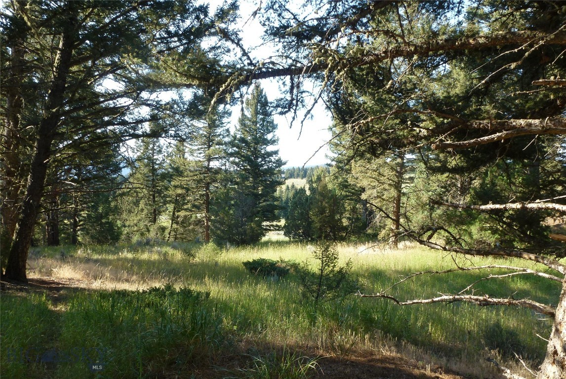 37 Talus Trail