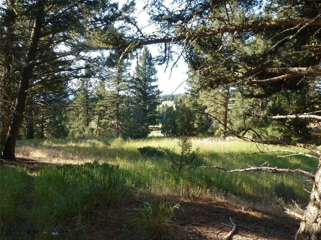 Porcupine Park - Land
