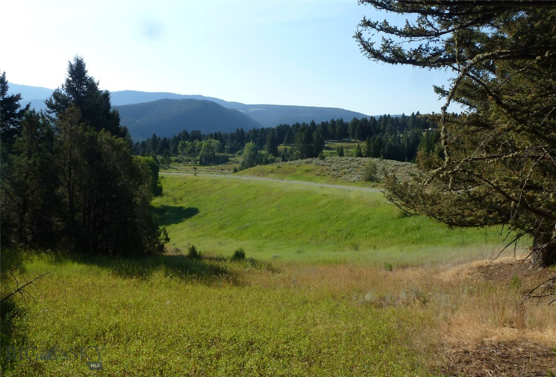 37 Talus Trail