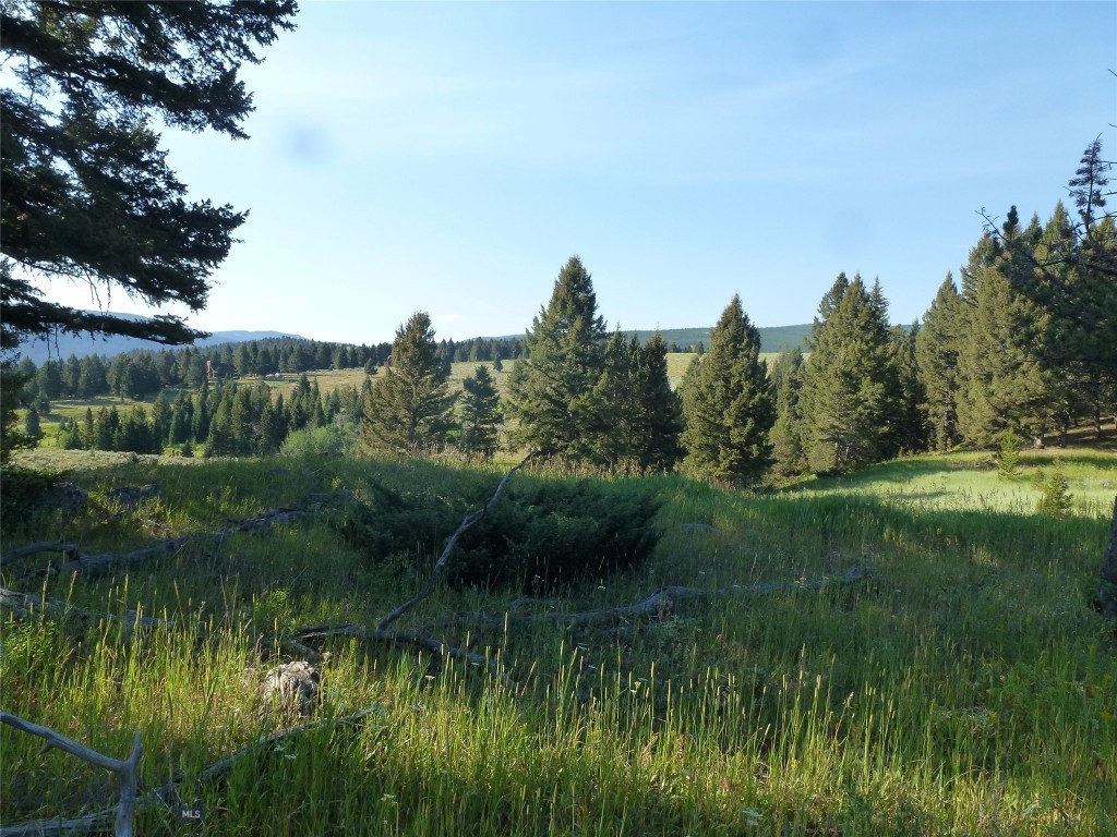 Lot 37 in Porcupine Park presents a rare opportunity to own a pristine piece of Big Sky, Montana. Encompassing 9.26 acres of tranquil beauty, this premier parcel boasts sweeping views of the majestic Gallatin Mountain Range and enjoys exceptional privacy, bordered by additional acres of dedicted open space.
Nestled in one of the region’s most naturally rich settings, the property is just moments from the Porcupine Creek Trailhead, offering direct access to an expansive network of hiking, biking, and equestrian trails. The nearby Hyalite-Porcupine-Buffalo Horn Wilderness Study Area enhances the area’s ecological importance, serving as a critical winter range for elk and a sanctuary for a wide variety of wildlife.
From your future home, expect to encounter frequent wildlife sightings—including elk, deer, and the occasional moose—framed by the stillness of mature forests and open meadows. The ambiance here captures the untamed spirit of Big Sky while still providing convenient access to modern amenities: Meadow Village and the vibrant Big Sky Town Center are just a short drive away, offering shopping, dining, and community events—all without compromising the peaceful, secluded atmosphere that defines Porcupine Park.
This lot is ideal for those seeking a private mountain retreat, a basecamp for outdoor adventures, or a legacy property immersed in Montana’s wild heart.