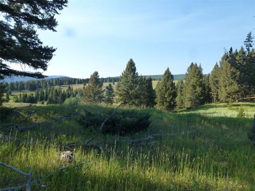 Lot 37 in Porcupine Park presents a rare opportunity to own a pristine piece of Big Sky, Montana. Encompassing 9.26 acres of tranquil beauty, this premier parcel boasts sweeping views of the majestic Gallatin Mountain Range and enjoys exceptional privacy, bordered by additional acres of dedicted open space.

Nestled in one of the region’s most naturally rich settings, the property is just moments from the Porcupine Creek Trailhead, offering direct access to an expansive network of hiking, biking, and equestrian trails. The nearby Hyalite-Porcupine-Buffalo Horn Wilderness Study Area enhances the area’s ecological importance, serving as a critical winter range for elk and a sanctuary for a wide variety of wildlife.

From your future home, expect to encounter frequent wildlife sightings—including elk, deer, and the occasional moose—framed by the stillness of mature forests and open meadows. The ambiance here captures the untamed spirit of Big Sky while still providing convenient access to modern amenities: Meadow Village and the vibrant Big Sky Town Center are just a short drive away, offering shopping, dining, and community events—all without compromising the peaceful, secluded atmosphere that defines Porcupine Park.

This lot is ideal for those seeking a private mountain retreat, a basecamp for outdoor adventures, or a legacy property immersed in Montana’s wild heart.