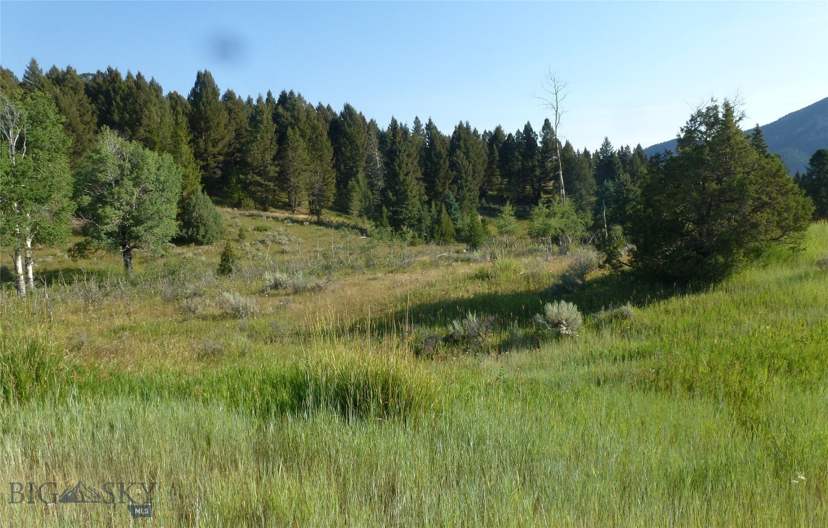 Porcupine Park - Land