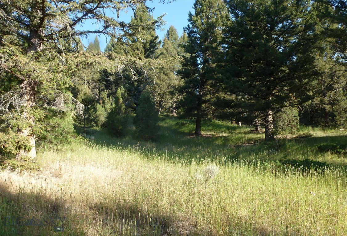 Porcupine Park - Land