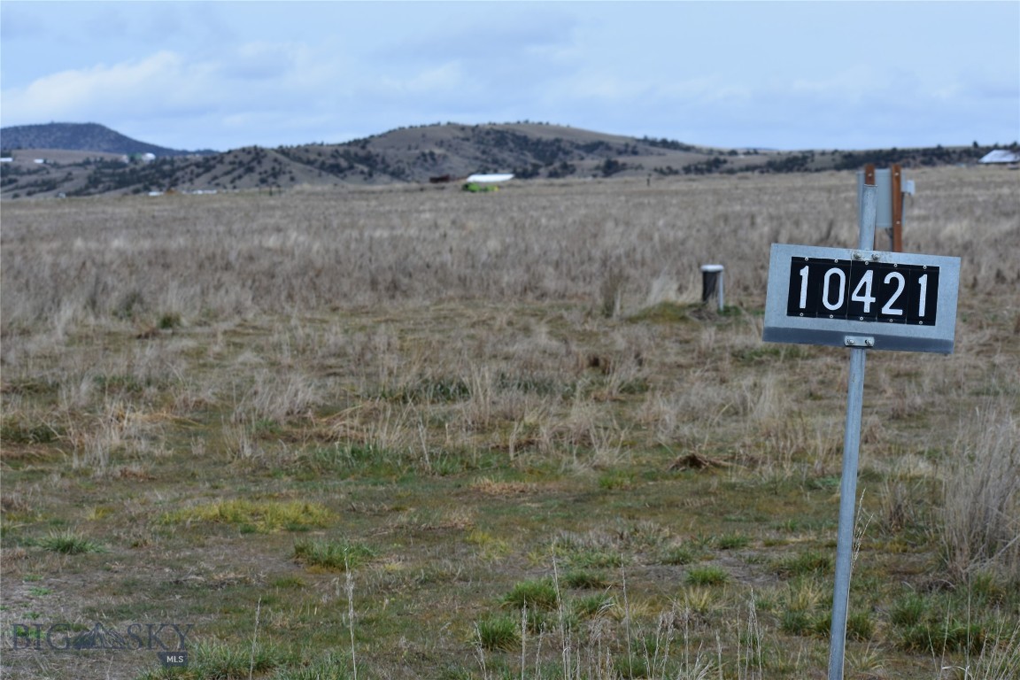 Ponderosa Pines - Land