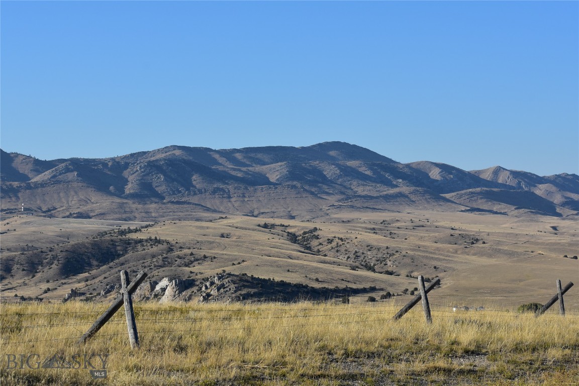 Ponderosa Pines - Land