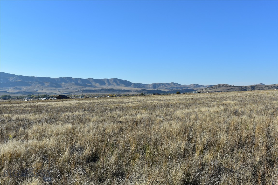 Ponderosa Pines - Land