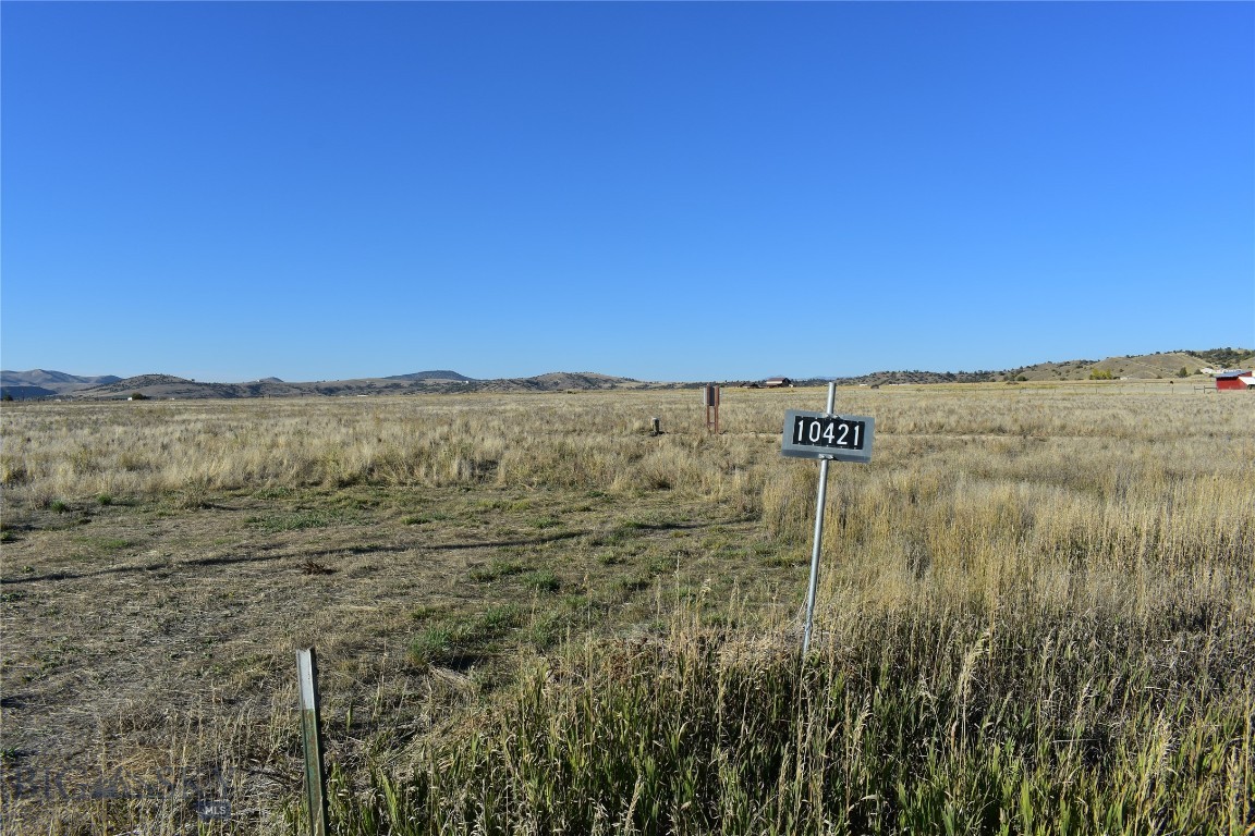 Ponderosa Pines - Land