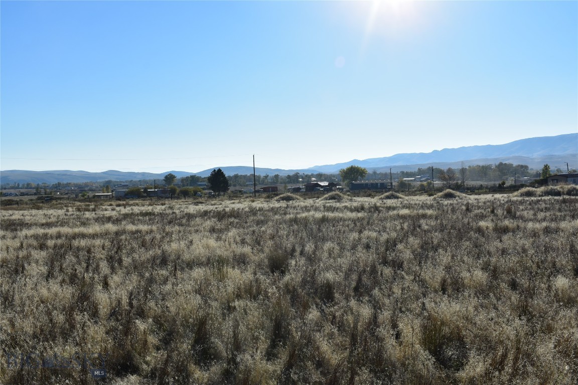 Ponderosa Pines - Land