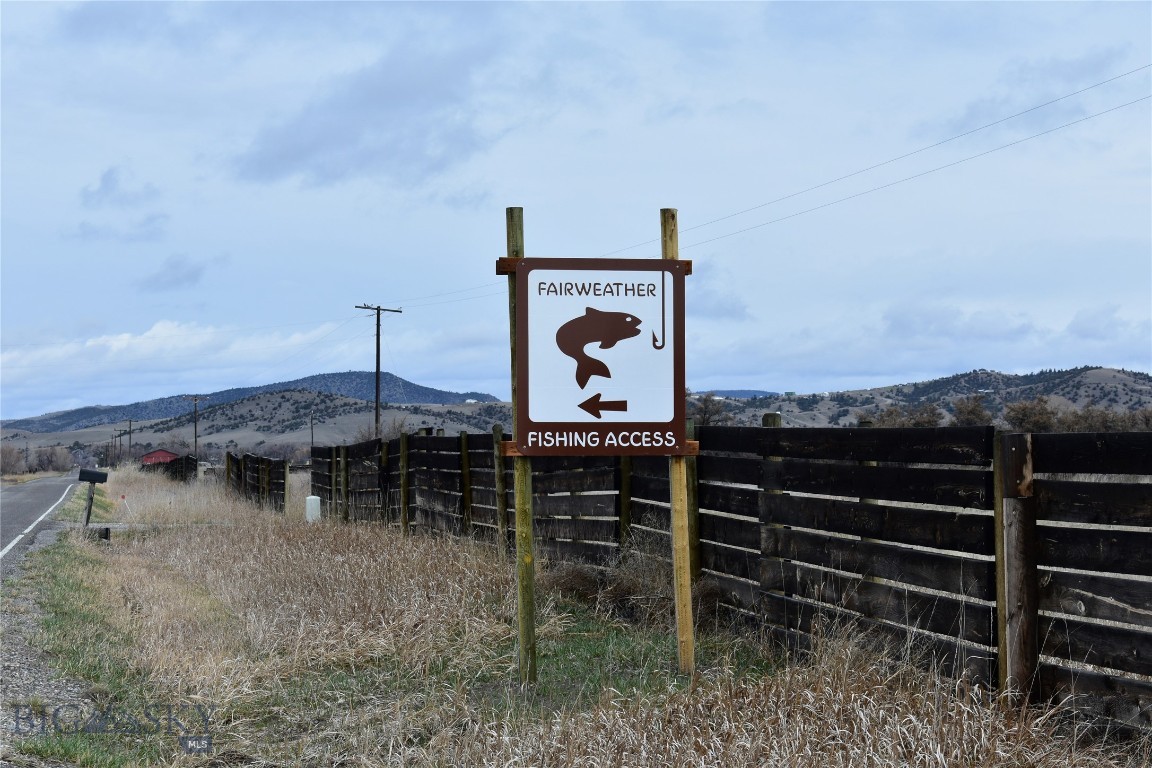 Ponderosa Pines - Land