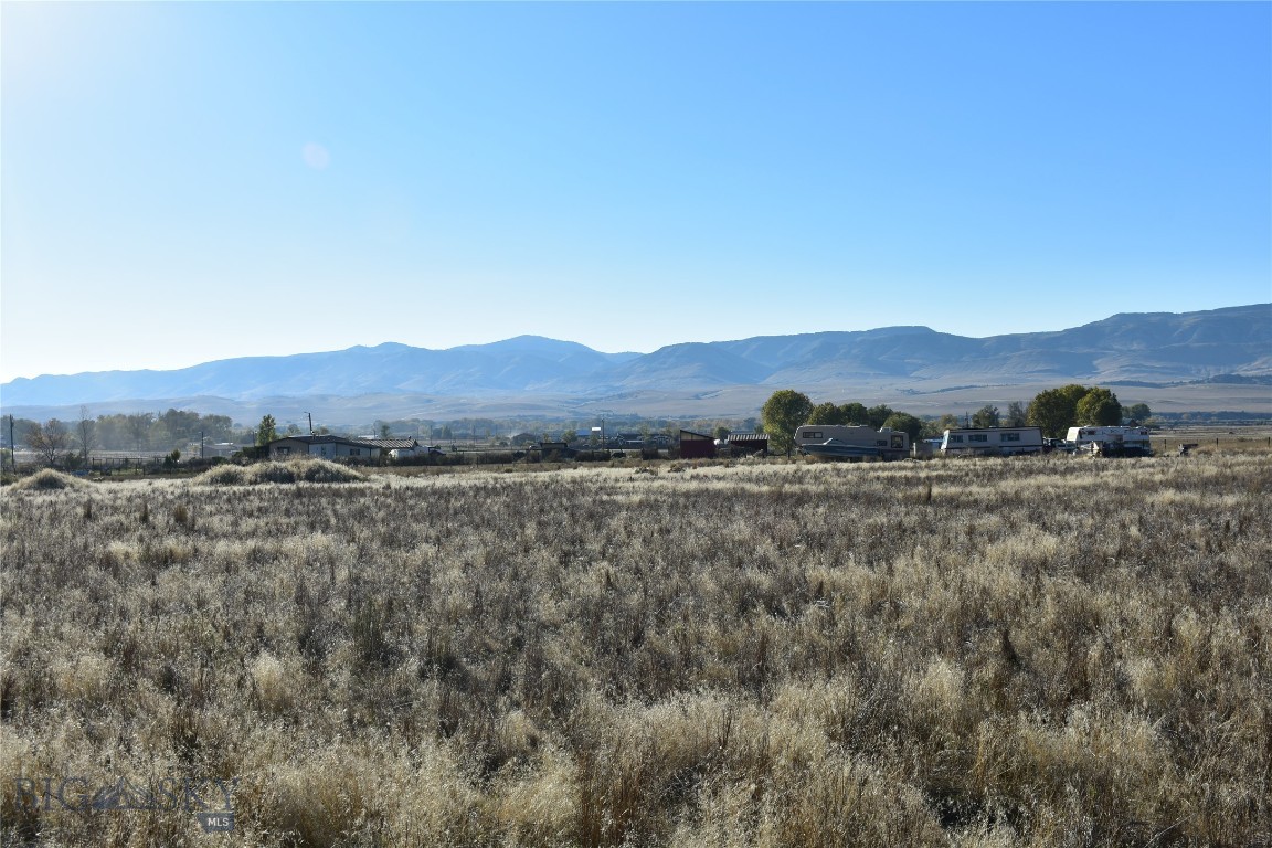 Ponderosa Pines - Land