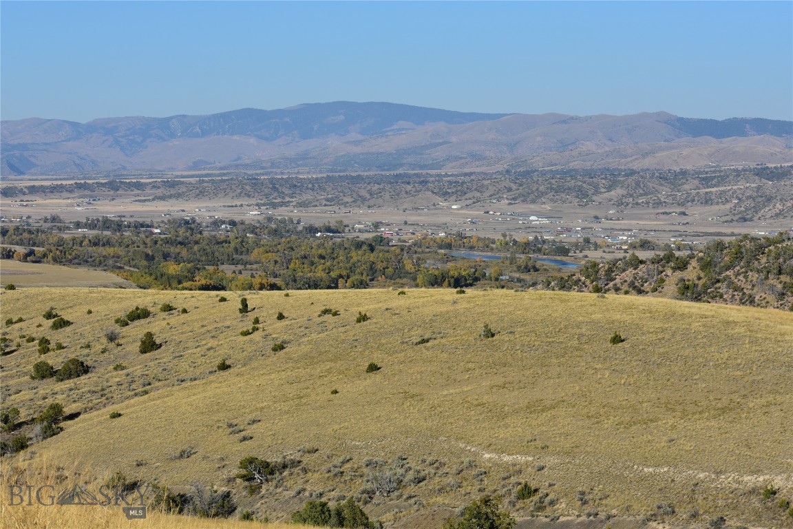 Ponderosa Pines - Land