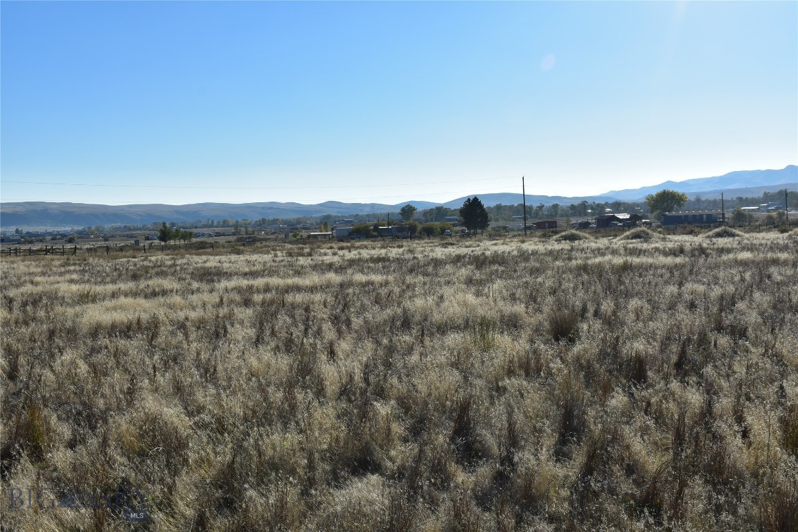 Ponderosa Pines - Land