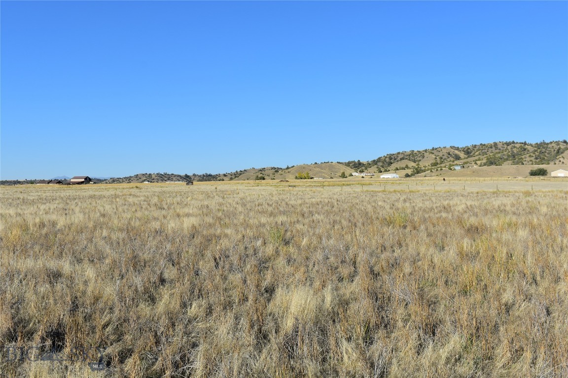 Ponderosa Pines - Land