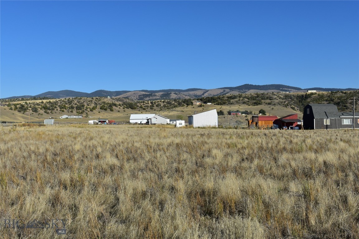 Ponderosa Pines - Land