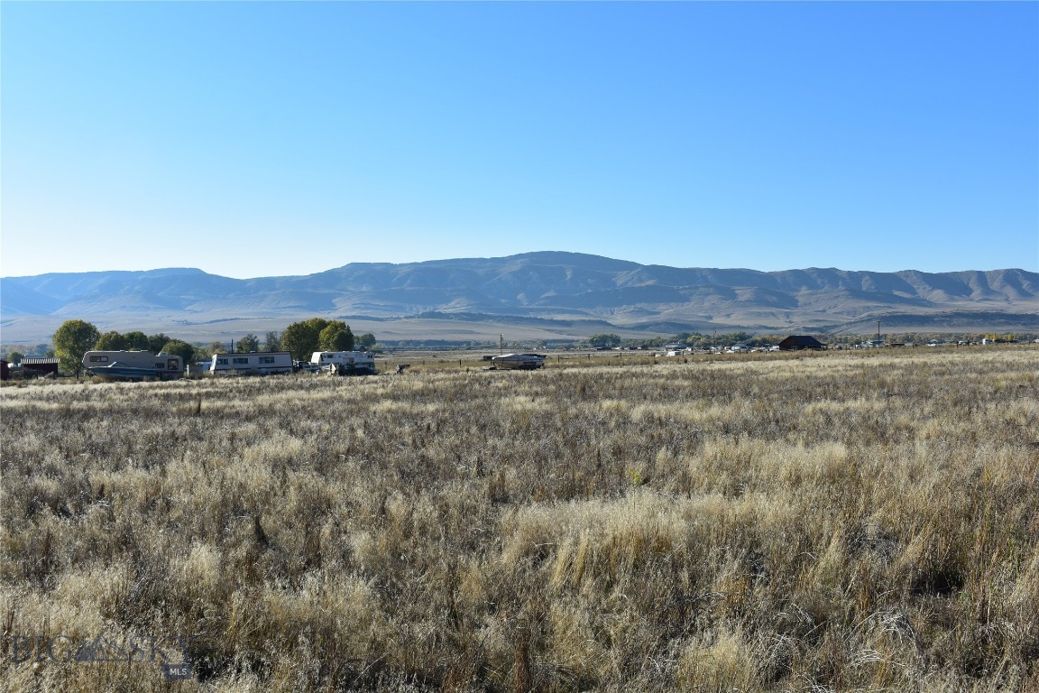 Ponderosa Pines - Land