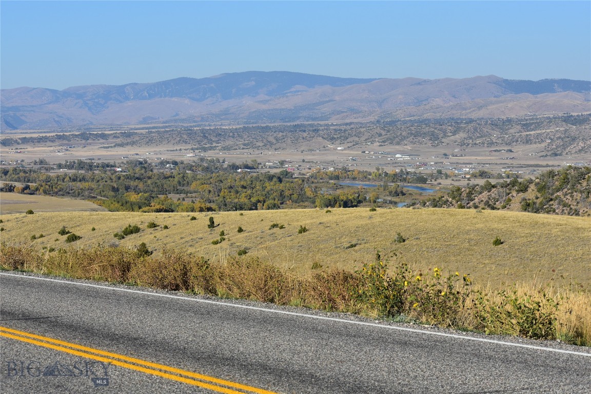 Ponderosa Pines - Land