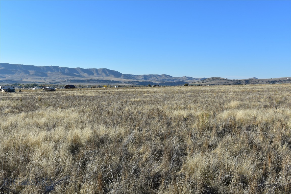 Ponderosa Pines - Land