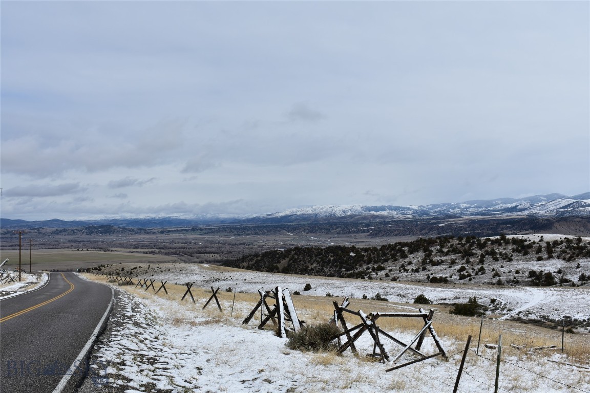 Ponderosa Pines - Land