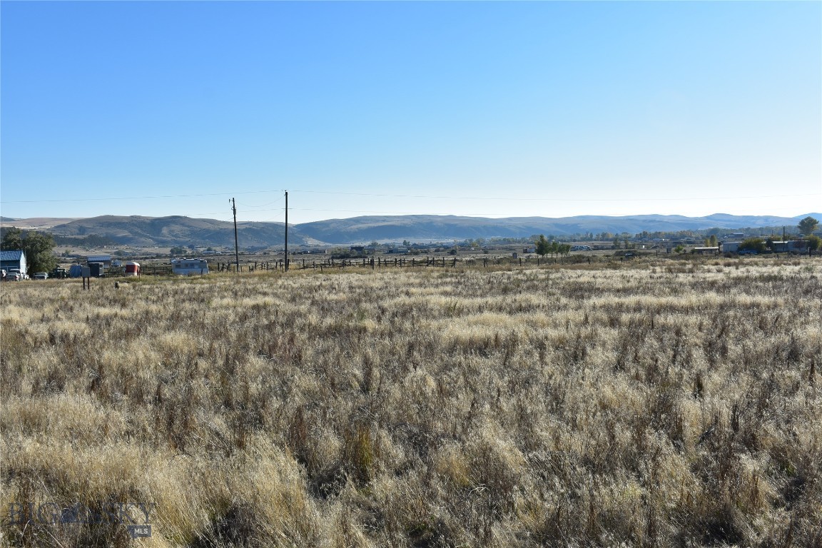 Ponderosa Pines - Land