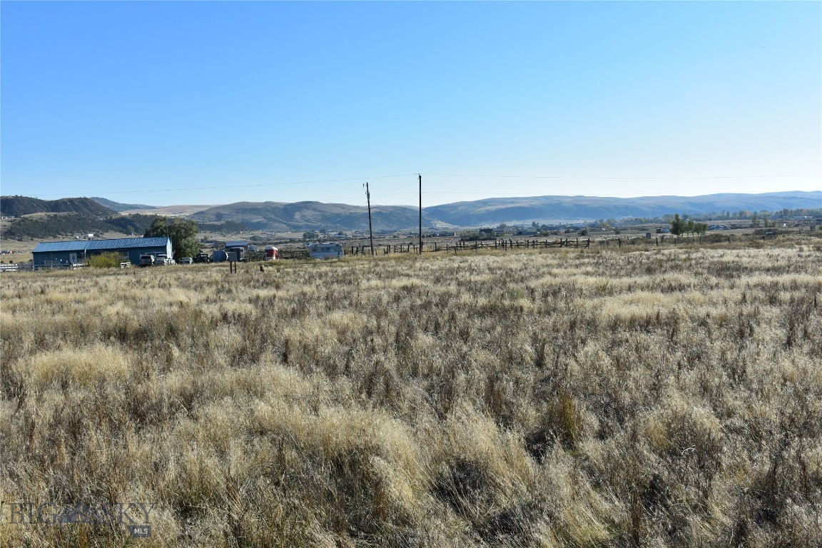 Ponderosa Pines - Land