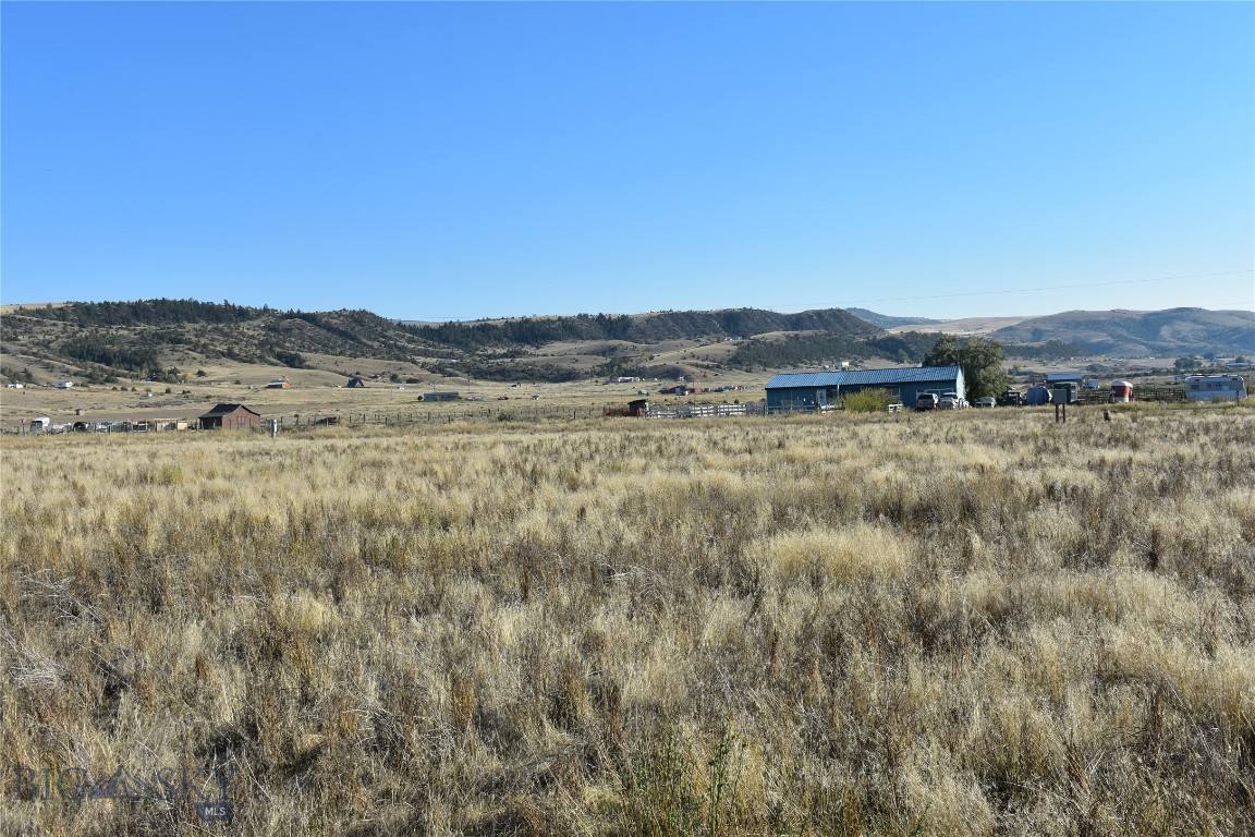 Ponderosa Pines - Land