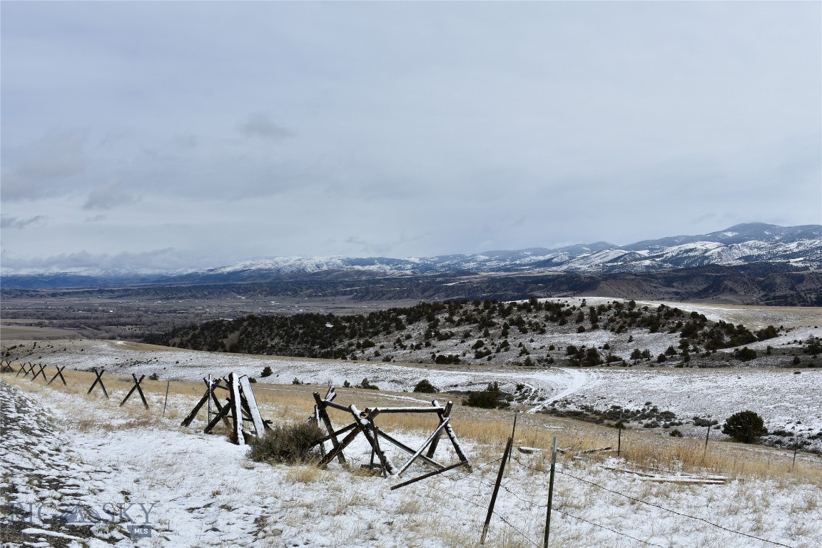 Ponderosa Pines - Land