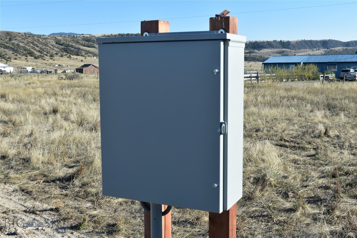 Ponderosa Pines - Land