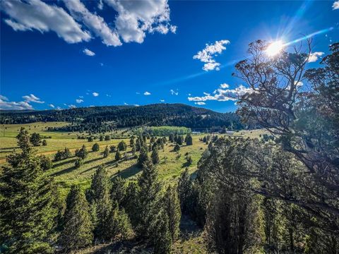 116115 S Buxton Butte MT 59750