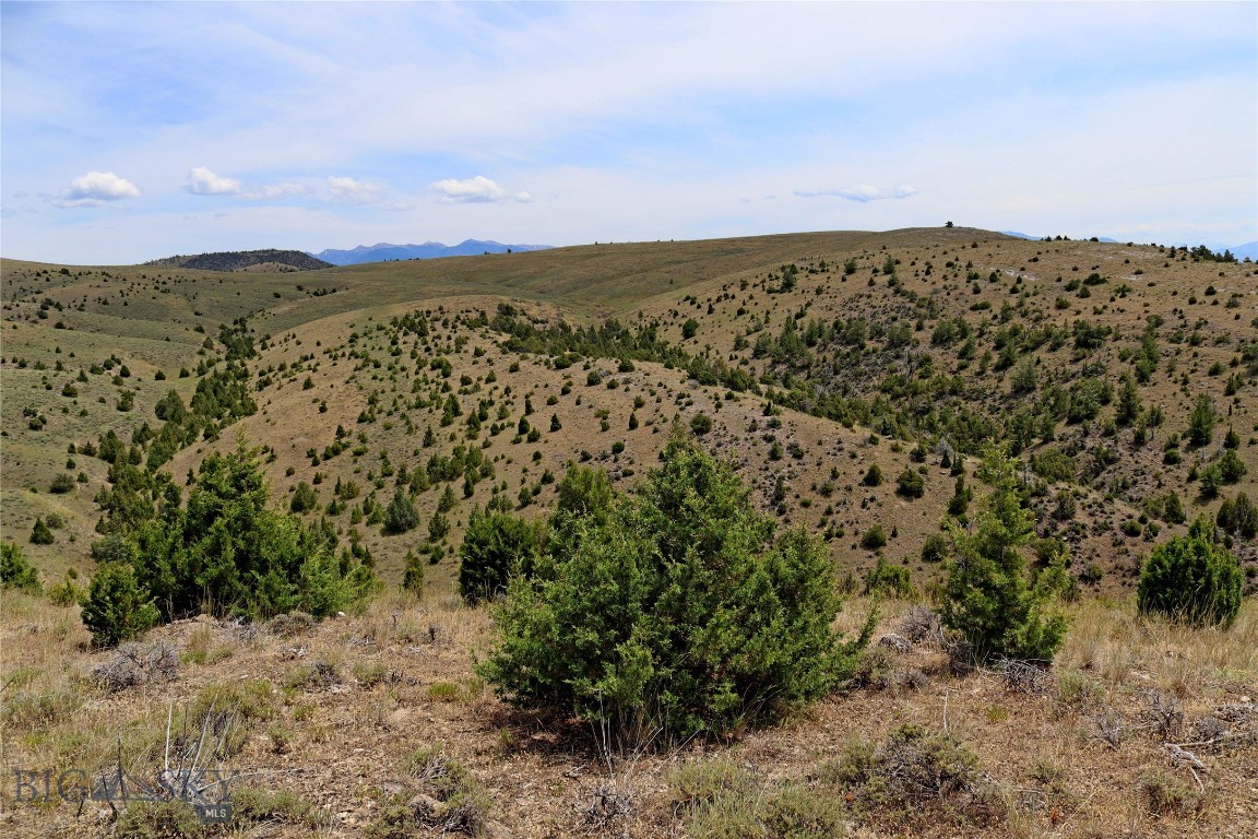 Gallatin River Ranch - Land