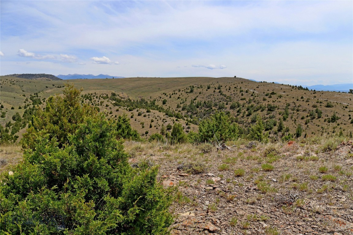 Gallatin River Ranch - Land