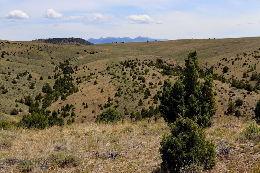 If you're looking for privacy, trees, canyon and mountain views and stunning topography, you've found the right lot! Lot 235 has a stunning build site overlooking the valley, mountains, and ravines below. End of the road, easy access, power to the lot line and incredible views. The Gallatin River Ranch is a recreational playground! Each owner on the GRR gains access to about 1,600 acres of common area easement land to hike and ride, two private river accesses, a great equestrian center (privately owned and operated, boarding fees apply) and a peaceful life just minutes away from Manhattan and Bozeman. The GRR is adjacent to 270 acres of Fish & Wildlife Parks Land, as well as 640 acres of State Land. Schedule a private tour today and come check it out! Seller Financing Available - details available upon request.