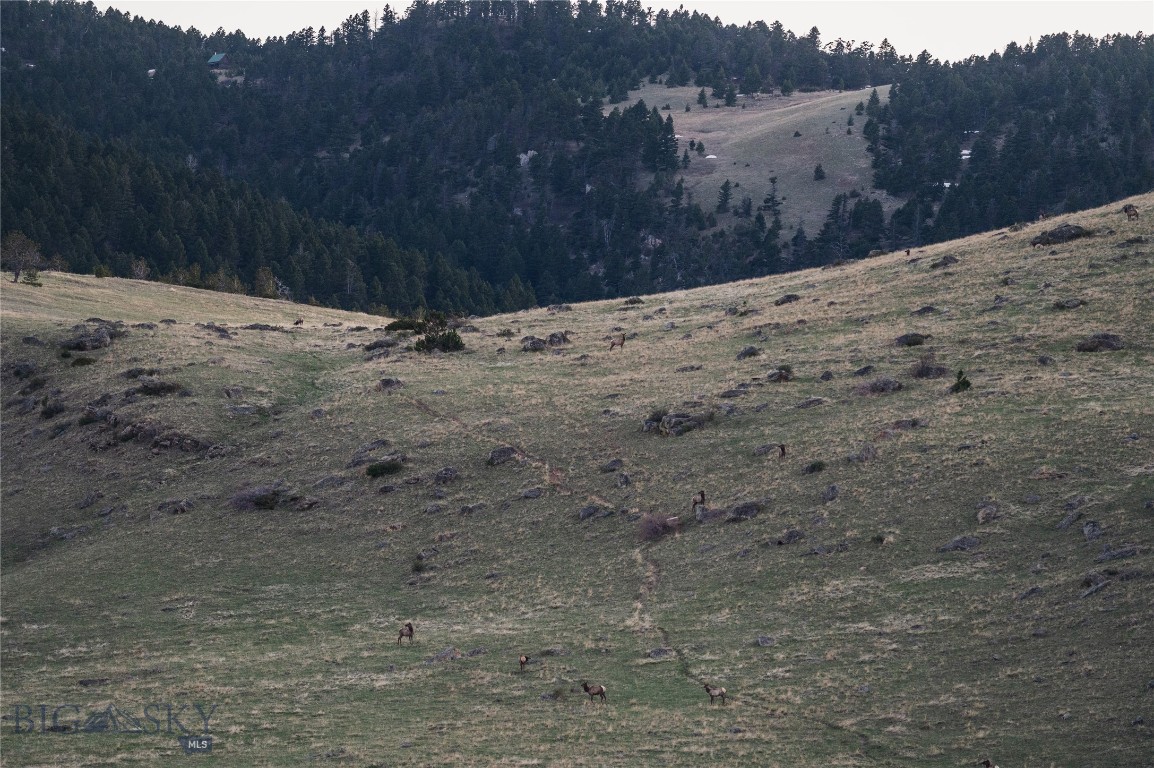 Discover Elk Crossing—198.77 acres just 10 minutes from downtown Livingston, MT. Enjoy sweeping views of Livingston Peak and the Crazy Mountains, plus prime building potential for your dream home or private retreat. Multiple building locations to pick out your perfect spot! Power is nearby, and area wells range from 25–300 ft. This parcel also offers exceptional hunting opportunities for the avid outdoorsman seeking adventure right out their back door. Often times holding hundreds of elk on this hillside, hence the name. A private access easement for a shared use of a 26-acre Yellowstone River common lot offer fishing, cookouts, and peaceful escapes. Within minutes of over a million acres of National Forest for hiking, hunting, horseback riding, and more via Livingston Peak Rd. Seller's deed restrictions apply—ask agent. Sale subject to boundary adjustment at Seller’s expense.