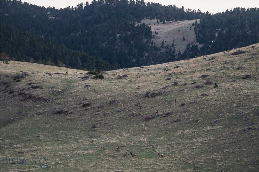 Discover Elk Crossing—198.77 acres just 10 minutes from downtown Livingston, MT. Enjoy sweeping views of Livingston Peak and the Crazy Mountains, plus prime building potential for your dream home or private retreat. Multiple building locations to pick out your perfect spot! Power is nearby, and area wells range from 25–300 ft. This parcel also offers exceptional hunting opportunities for the avid outdoorsman seeking adventure right out their back door. Often times holding hundreds of elk on this hillside, hence the name. A private access easement for a shared use of a 26-acre Yellowstone River common lot offer fishing, cookouts, and peaceful escapes. Within minutes of over a million acres of National Forest for hiking, hunting, horseback riding, and more via Livingston Peak Rd. Seller's deed restrictions apply—ask agent. Sale subject to boundary adjustment at Seller’s expense.