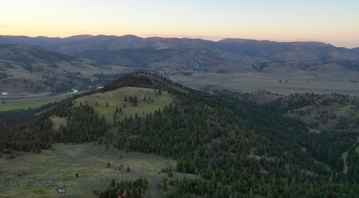 3 Tract, Bull Elk