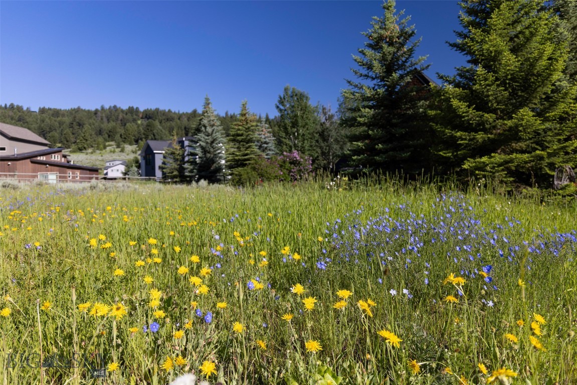 South Fork - Land