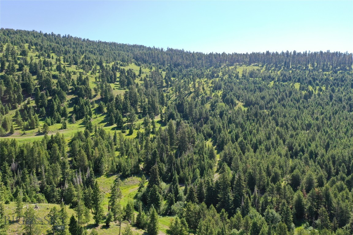 6 Tract, Garnet Range