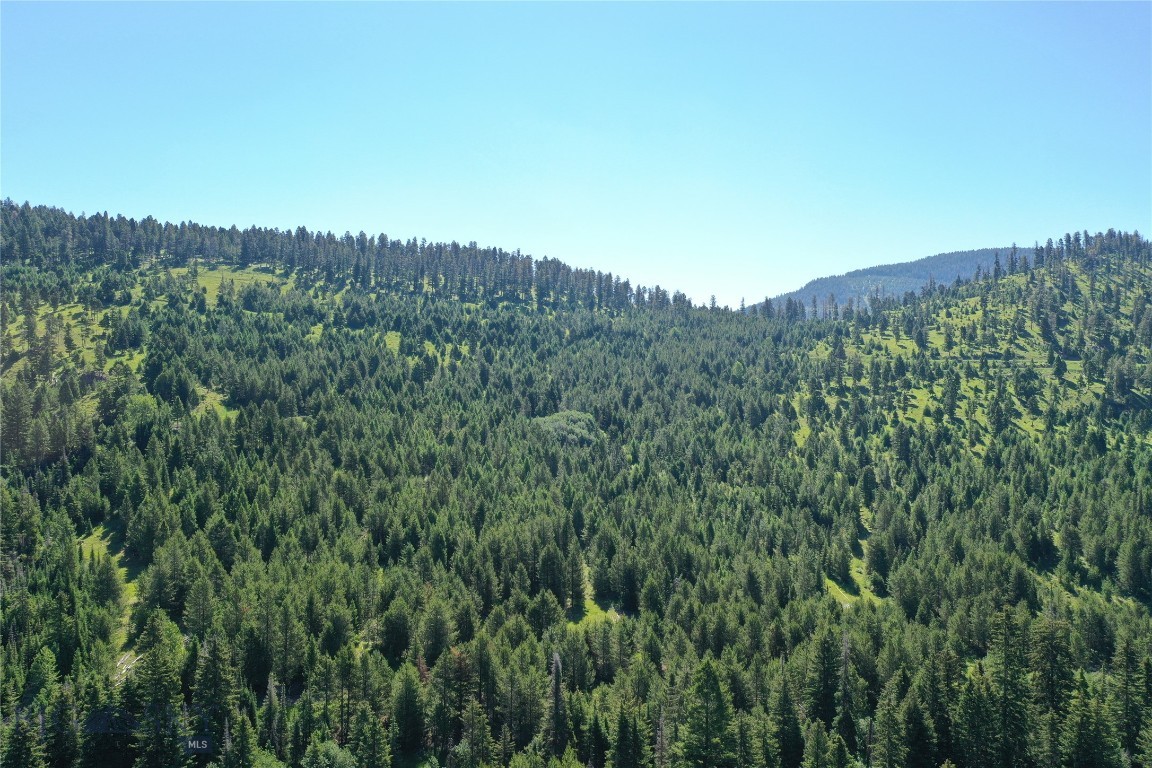 6 Tract, Garnet Range