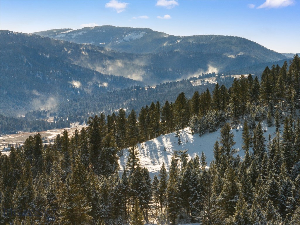 Blackfoot Hills - Land